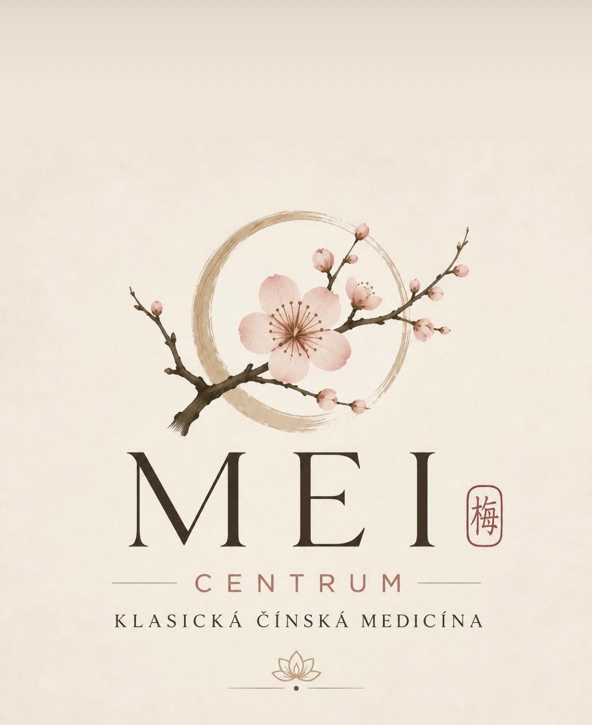 Logo Centra MEI – klasická čínská medicína
